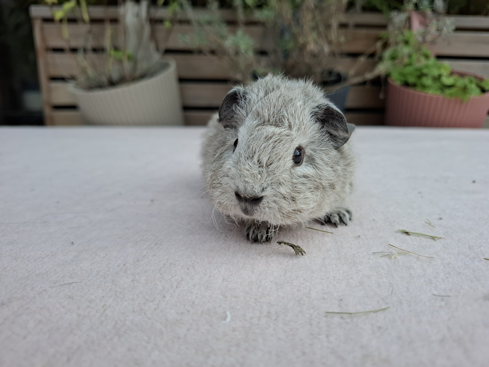 Front foto van Funky