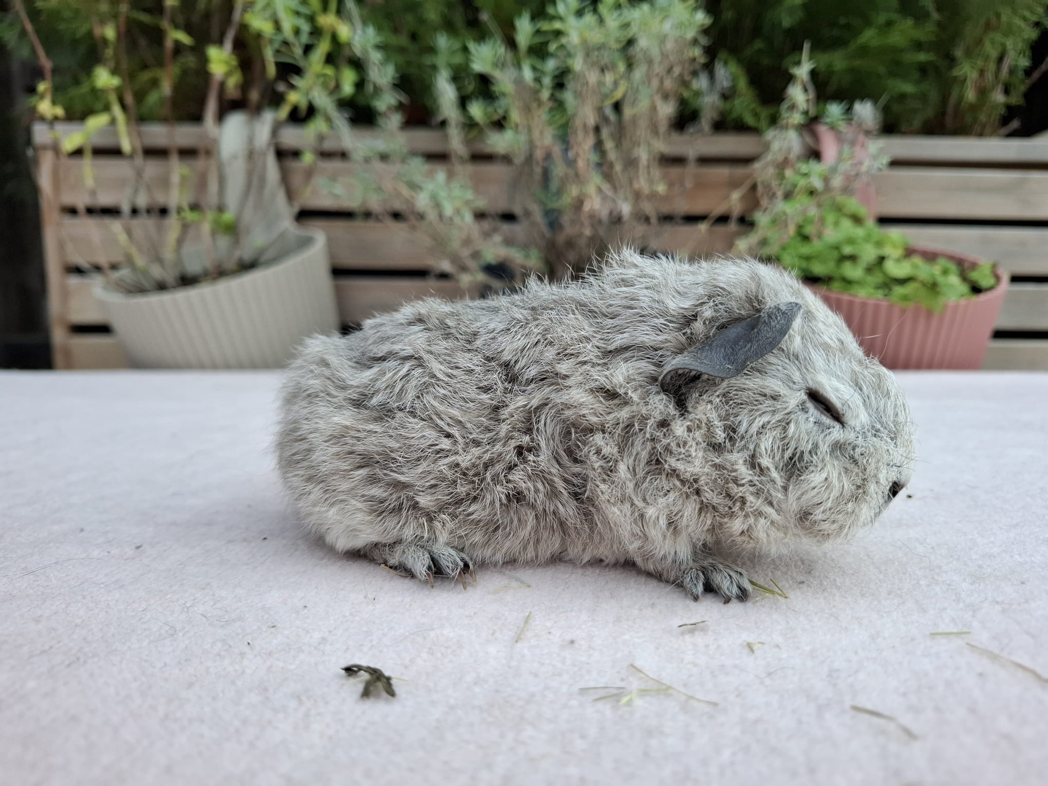 Right foto van Funky