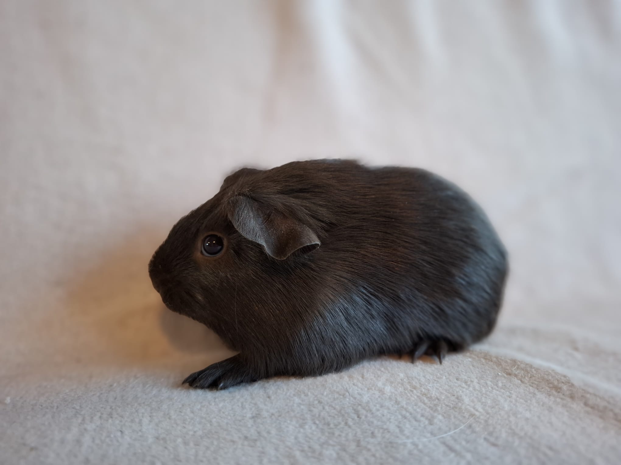 Left foto van Sabrina