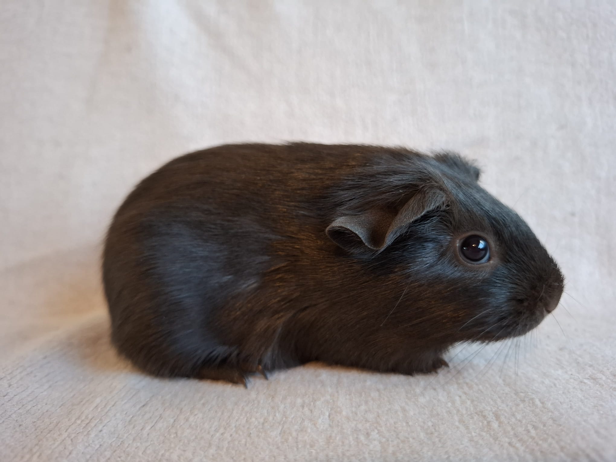 Right foto van Sabrina